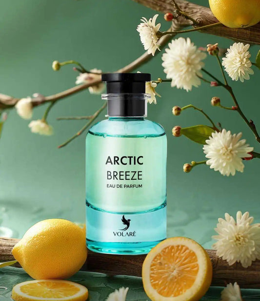 Arctic Breeze - Inspiration Imagination - Eau de parfum 100 ml